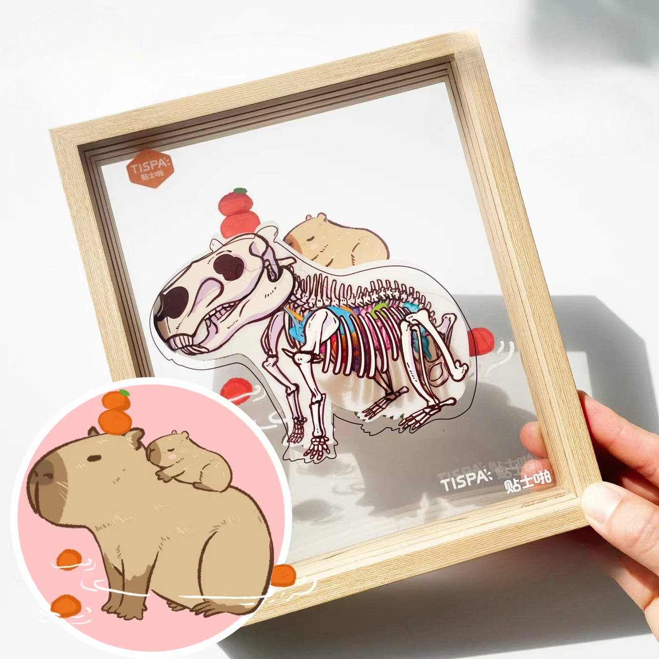 Animal Encyclopedia, Anatomical & Restoration 4.0, Sticker Scene, 3D Miniature Scene Stickers, Stress-Relief DIY Stickers, Scene-Setting Stickers, DIY Stickers