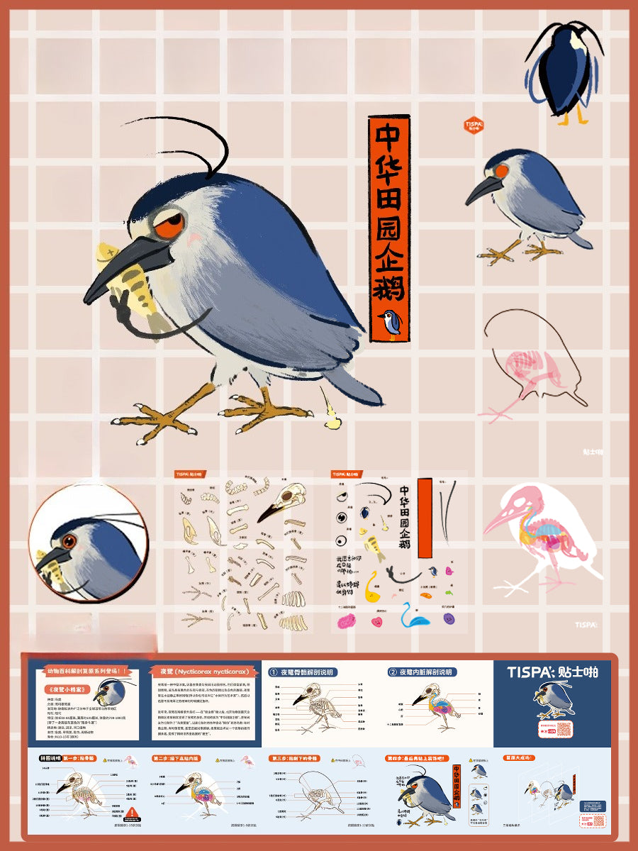 Anatomique et restauration 2.0, Scène autocollante, Autocollants de scène miniature 3D, Autocollants DIY anti-stress, Autocollants de mise en scène, Autocollants DIY