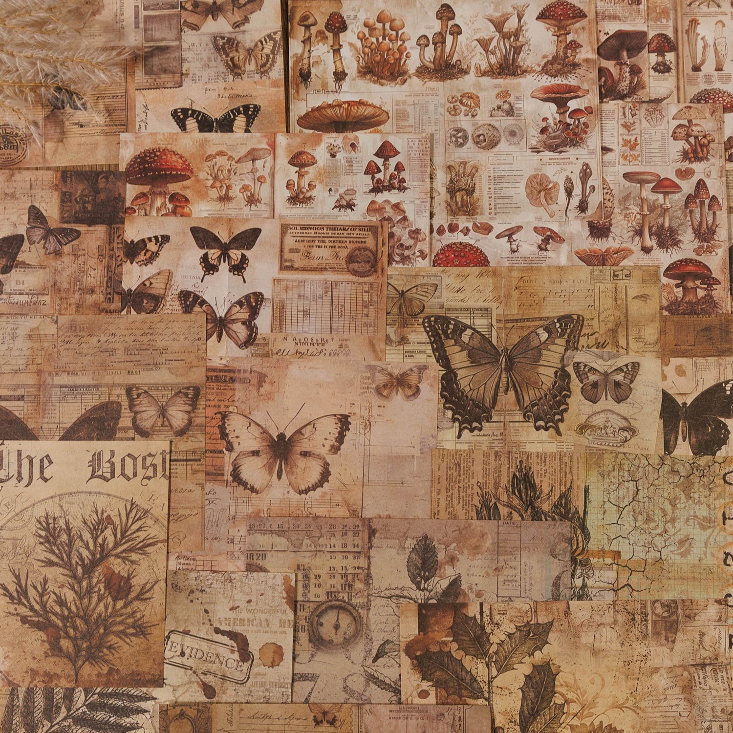 Vintage Collection 1857 Series Junk Journal Paper, Butterfly Scrapbook Paper, DIY Collage Paper - YYBB ART